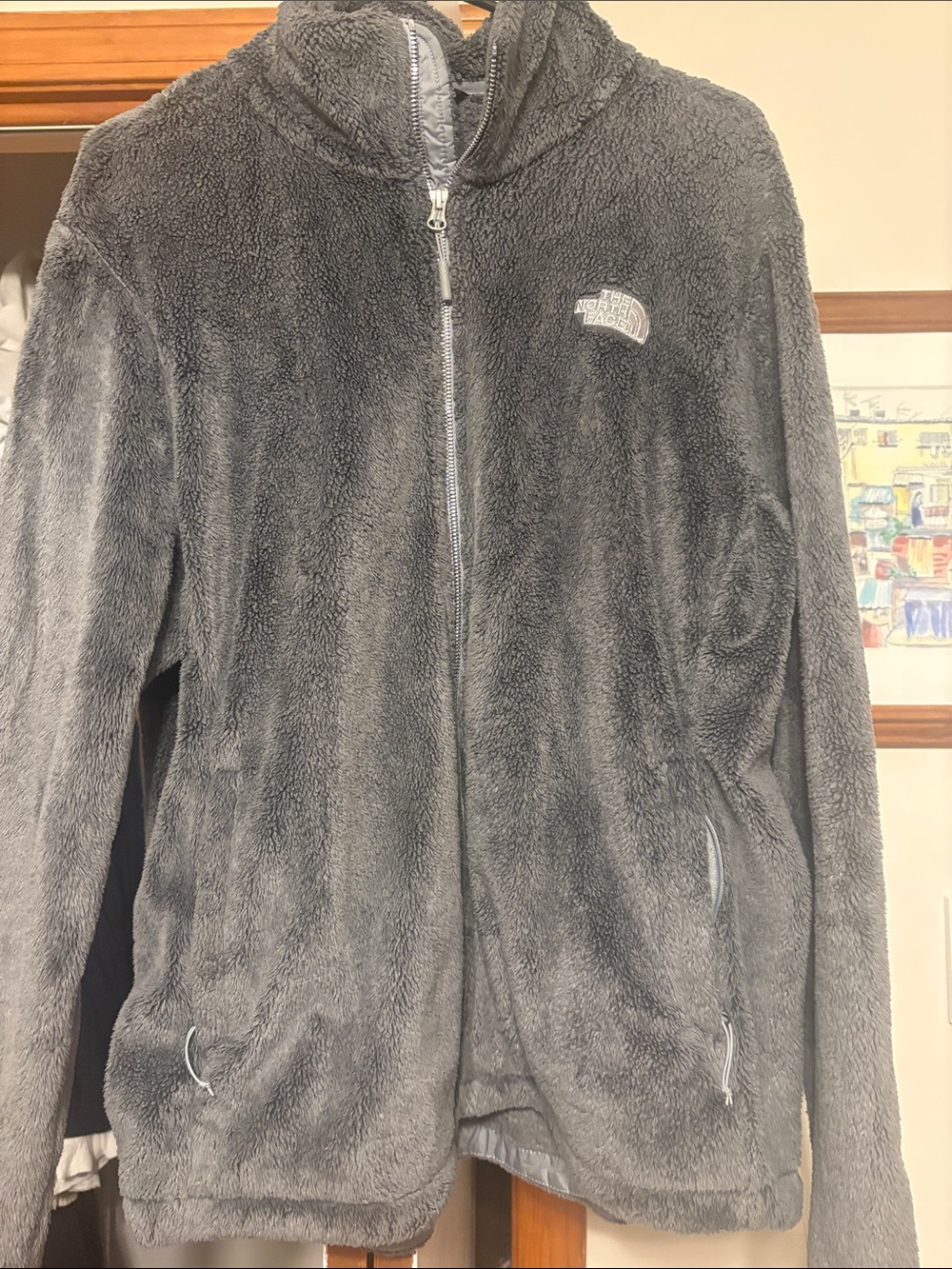 The North Face Plush Full-Zip Fleece Jacket - Gray